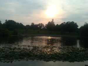 View to the West of Patterson Park From the Tiny Lake