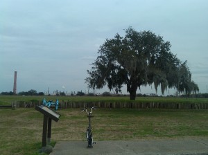 Brompty Checking Out the View at Chalmette National Battlefield